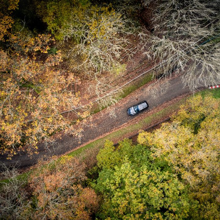 Maserati Levante 2020 trees SW